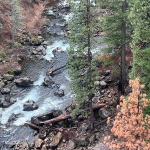 Scenic Forest River Landscape
